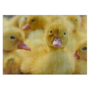 Kutest Baby Animals Baby Duck-groep Snijplank