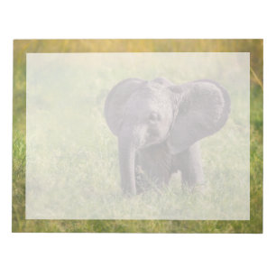 Kutest Baby Animals   Baby Elephant Kenia Africa Notitieblok