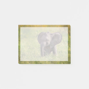 Kutest Baby Animals   Baby Elephant Kenia Africa Post-it® Notes