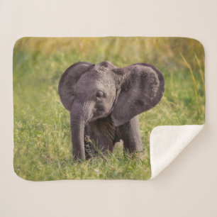 Kutest Baby Animals Baby Elephant Kenia Africa Sherpa Deken