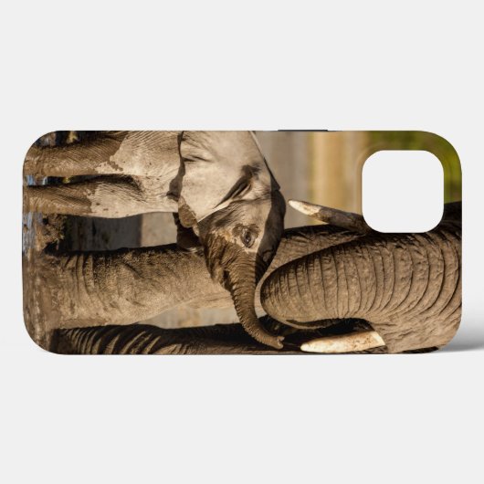 Kutest Baby Animals | Baby Elephant & Mama Case-Mate iPhone Case
