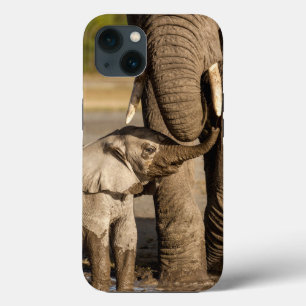 Kutest Baby Animals Baby Elephant & Mama iPhone 13 Hoesje