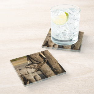 Kutest Baby Animals Baby Elephant & Mama Glazen Onderzetter