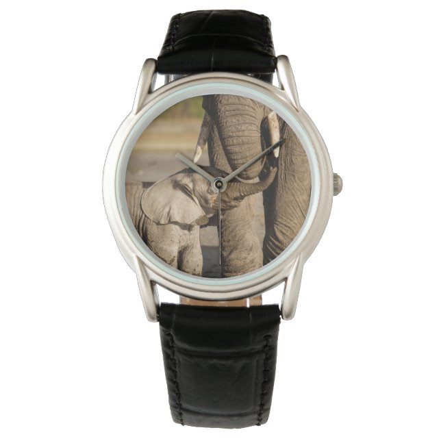 Kutest Baby Animals | Baby Elephant & Mama Horloge (Voorkant)