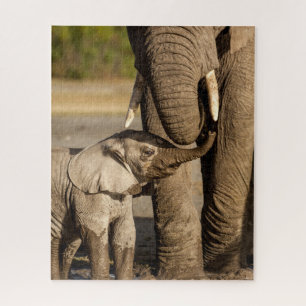 Kutest Baby Animals   Baby Elephant & Mama Legpuzzel