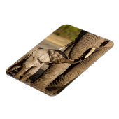 Kutest Baby Animals | Baby Elephant & Mama Magneet (Linkerzijde)