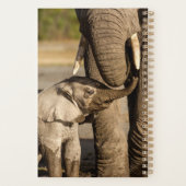 Kutest Baby Animals | Baby Elephant & Mama Planner (Achterkant)
