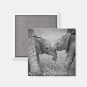 Kutest Baby Animals | Baby Elephants-groet Magneet (Voorkant / Achterkant)