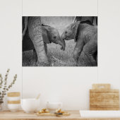 Kutest Baby Animals | Baby Elephants-groet Poster (Keuken)