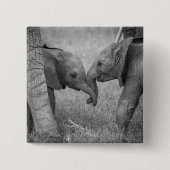 Kutest Baby Animals | Baby Elephants-groet Vierkante Button 5,1 Cm (Voorkant)
