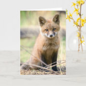 Kutest Baby Animals | Baby Fox Kaart (Gele Bloem)