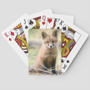 Kutest Baby Animals   Baby Fox Pokerkaarten