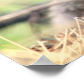 Kutest Baby Animals | Baby Fox Poster (Hoek)