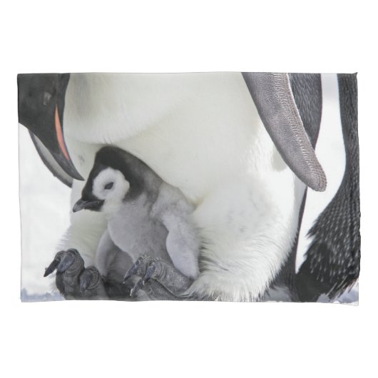 Kutest Baby Animals | Baby keizer Penguin Kussensloop (Voorkant)