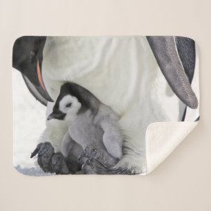 Kutest Baby Animals   Baby keizer Penguin Sherpa Deken