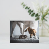 Kutest Baby Animals | Baby Kitten en Dog Briefkaart (Staand voorkant)