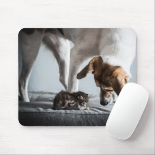 Kutest Baby Animals   Baby Kitten en Dog Muismat