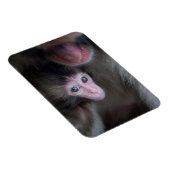 Kutest Baby Animals | Baby Macaque Monkey en moede Magneet (Rechterzijde)