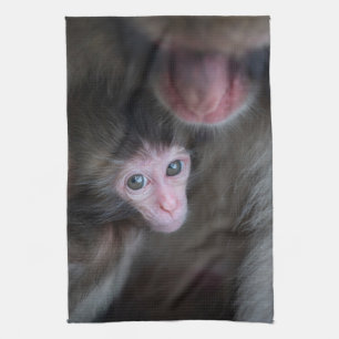 Kutest Baby Animals Baby Macaque Monkey en moede Theedoek