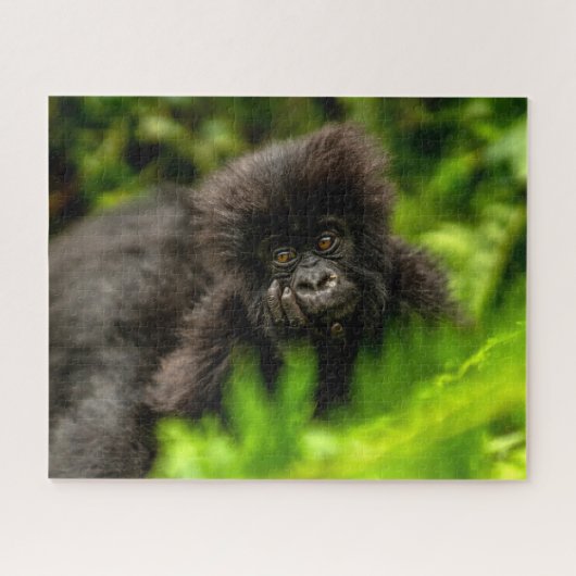 Kutest Baby Animals | Baby Mountain Gorilla Legpuzzel (Horizontaal)