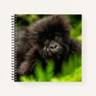 Kutest Baby Animals   Baby Mountain Gorilla Notitieboek