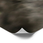 Kutest Baby Animals | Baby Mountain Gorilla Poster (Hoek)