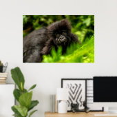 Kutest Baby Animals | Baby Mountain Gorilla Poster (Thuiskantoor)