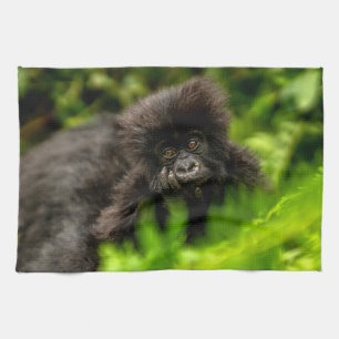 Kutest Baby Animals Baby Mountain Gorilla Theedoek