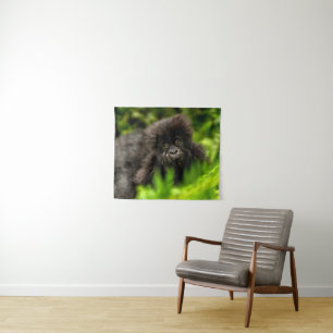 Kutest Baby Animals Baby Mountain Gorilla Wandkleed