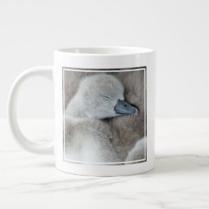 Kutest Baby Animals   Baby Mute Swan Extra Grote Beker