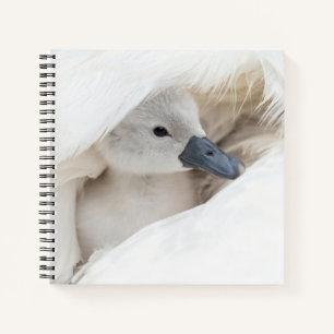 Kutest Baby Animals Baby Mute Swan Notitieboek