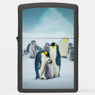 Kutest Baby Animals   Baby pinguïn