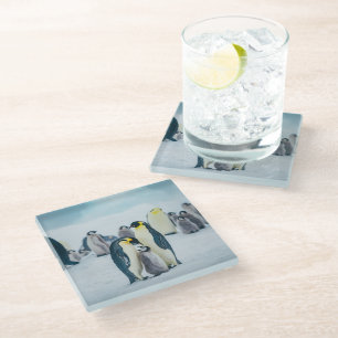 Kutest Baby Animals   Baby pinguïn Glazen Onderzetter