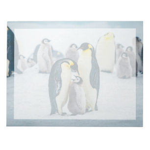 Kutest Baby Animals Baby pinguïn Notitieblok