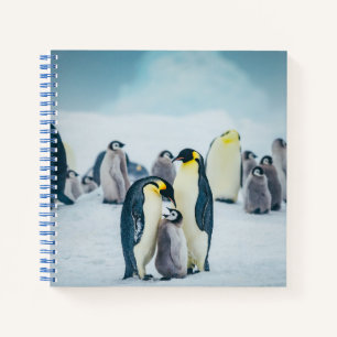 Kutest Baby Animals   Baby pinguïn Notitieboek