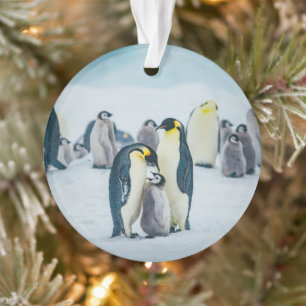 Kutest Baby Animals Baby pinguïn Ornament