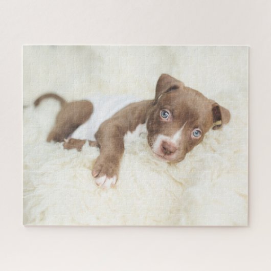 Kutest Baby Animals | Baby Pit Bull Puppy Legpuzzel (Horizontaal)