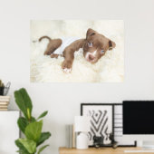 Kutest Baby Animals | Baby Pit Bull Puppy Poster (Thuiskantoor)