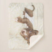 Kutest Baby Animals | Baby Pit Bull Puppy Sherpa Deken (Voorkant)