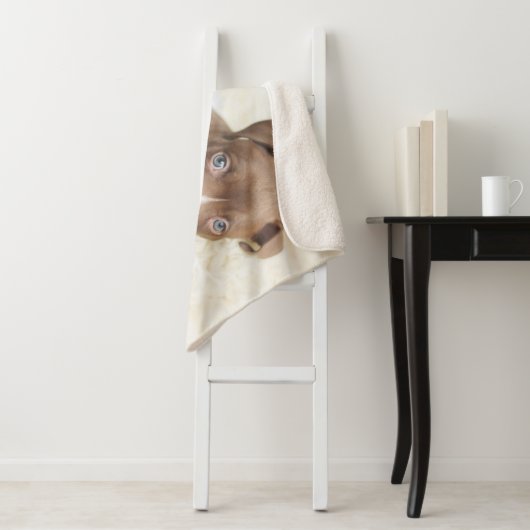 Kutest Baby Animals | Baby Pit Bull Puppy Sherpa Deken (In situ)