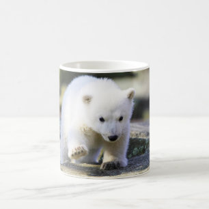 Kutest Baby Animals   Baby Polar Beer Cub Koffiemok