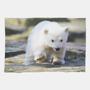 Kutest Baby Animals   Baby Polar Beer Cub Theedoek