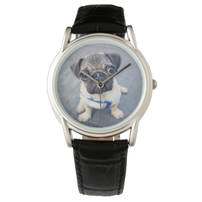 Kutest Baby Animals | Baby Pug Horloge (Voorkant)