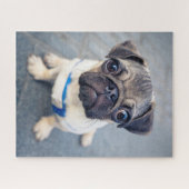 Kutest Baby Animals | Baby Pug Legpuzzel (Horizontaal)