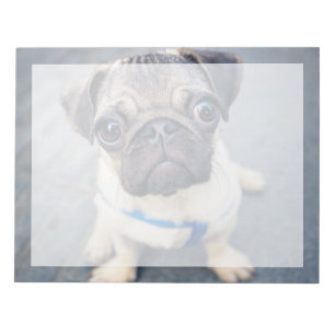 Kutest Baby Animals   Baby Pug Notitieblok