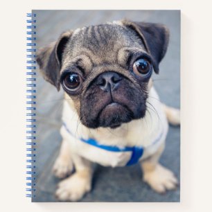 Kutest Baby Animals   Baby Pug Notitieboek
