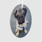 Kutest Baby Animals | Baby Pug Ornament (voorkant)