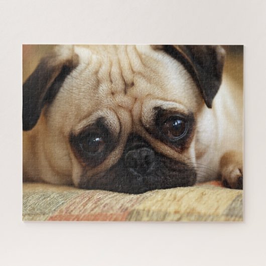 Kutest Baby Animals | Baby Pug Puppy Legpuzzel (Horizontaal)