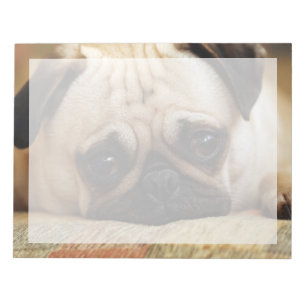 Kutest Baby Animals   Baby Pug Puppy Notitieblok