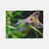 Kutest Baby Animals | Baby Red Fox Fleece Deken (Voorkant (Horizontaal))